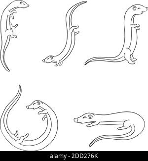 Cute Cartoon Otter Ferret Illustration Collection in Vector Stock Vector