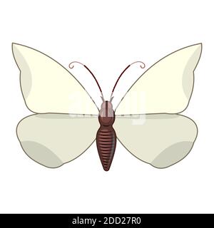 White butterfly on an isolated background. Bright beautiful composition. Isolated object on white. Vector. Stock Vector