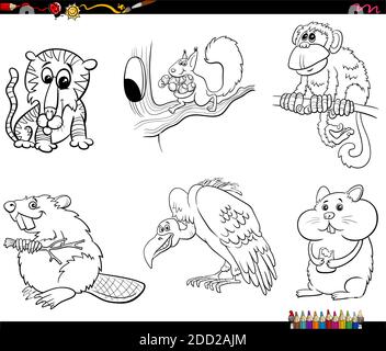 Black and white cartoon illustration of animals species comic characters Set coloring book page Stock Vector