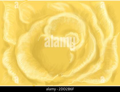 yellow rose vector illustration. floral background Stock Vector
