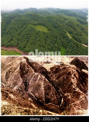 (201124) -- GUIYANG, Nov. 24, 2020 (Xinhua) -- In this combo photo, the upper part taken by Yang Wenbin on July 25, 2019 shows the aerial view of the slopes of Haique Village and the lower file photo shows the slope of Haique Village with rocky desertification in 1980s, in Hezhang County, southwest China's Guizhou Province. China has achieved the feat of removing all remaining counties from the country's poverty list. The last nine impoverished counties, all in southwest China's Guizhou Province, have eliminated absolute poverty, the provincial government announced on Monday. This means tha Stock Photo