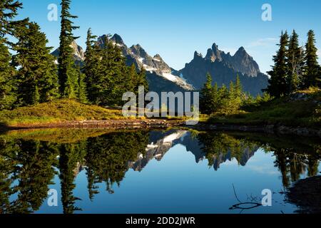 WA18456-00...WASHINGTON - Chikamin Peak and Lemah Mountain reflecting in a small tarn along the PCT trail near Spectacle Point in the Alpine Lakes Wil Stock Photo
