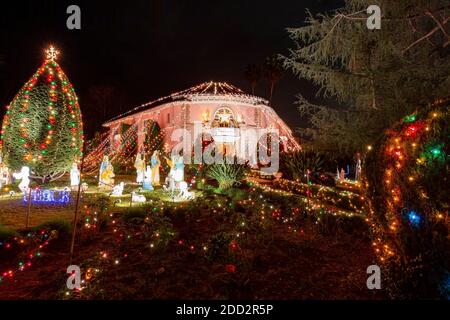 Los Angeles, DEC 18, 2014 -Night view of the beautiful Chandelier Tree Stock Photo