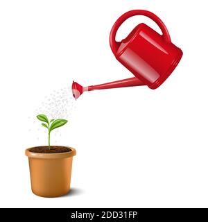 3d realistic vector icon illustration of red water can watering small green plant in a clay brown pot. Isolated on white background. Stock Vector
