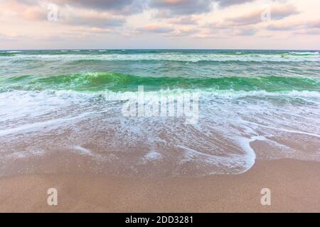 golden cloudy sunset above the green sea waters. waves crashing the sandy beach. clear horizon. changing windy weather Stock Photo