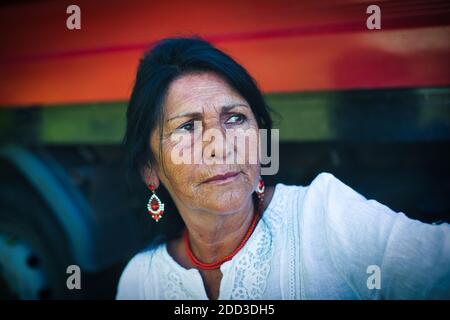 GREAT BRITAIN / England / Romani family set up camp in  Ham Lands, Richmond , Greater London on 18 May 2020 . Stock Photo