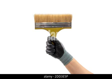 Hand of a gloved man holding a paintbrush. Isolated white background. Stock Photo