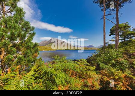 View across Derryclare Lough from Pine Island, Connemara, County Galway, Republic of Ireland. Eire. Stock Photo