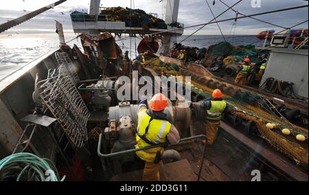 Deep-sea fishing in the Norwegian Sea on board the trawler “Grande Hermine” in 2011. La Grande Hermine, factory trawler operated by Compagnie des Pech Stock Photo