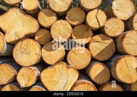 Sawn timber in a pile Stock Photo