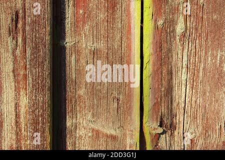 Wooden planks with green moss Stock Photo