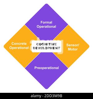 Diagram of Cognitive Development with keywords. EPS 10 - isolated on white background Stock Vector