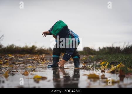 A little child boy playing in a puddle in the rain. Happy blissful not a worry in the world. Beautiful playful and touching. Stock Photo