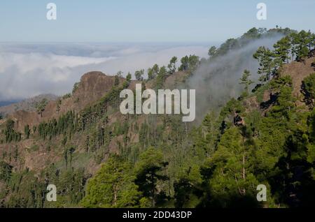 Morro del Visadero in the Integral Natural Reserve of Inagua. Tejeda. Gran Canaria. Canary Islands. Spain. Stock Photo