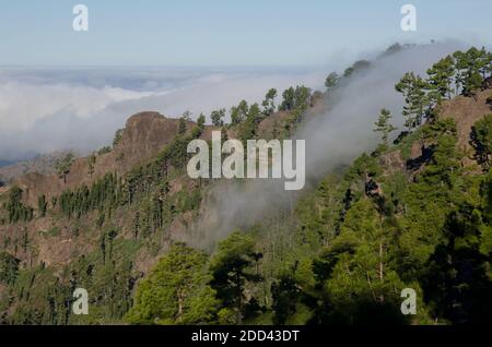 Morro del Visadero in the Integral Natural Reserve of Inagua. Tejeda. Gran Canaria. Canary Islands. Spain. Stock Photo