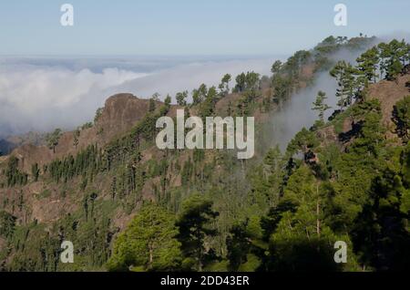 Morro del Visadero in the Integral Natural Reserve of Inagua. Tejeda. Gran Canaria. Canary Islands. Spain. Stock Photo