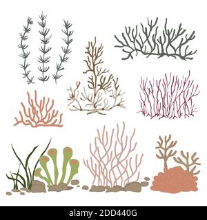 Reef corals, seaweeds, underwater wildlife plants vector set Stock Vector