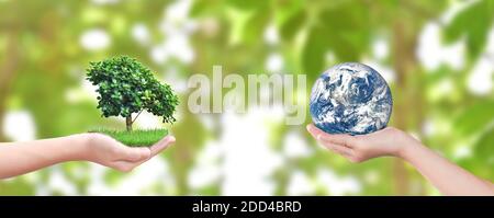 Environment day concept: Child hands holding tree and earth over blurred nature background. Elements of this image furnished by NASA Stock Photo