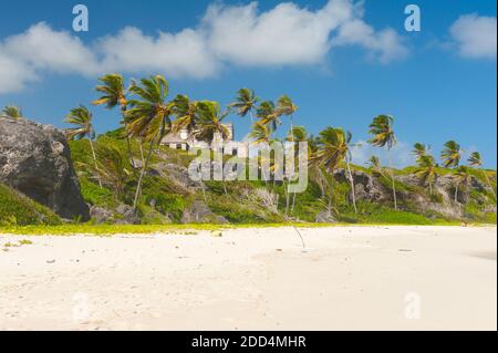 Harrismith Beach is one of the most beautiful beaches on the Caribbean