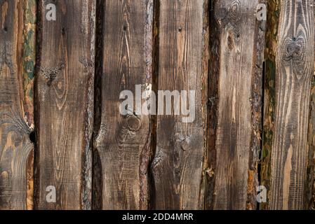 wooden brown pine boards background texture Stock Photo
