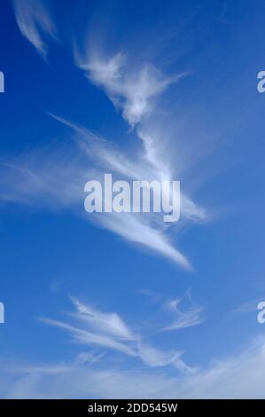 wispy white clouds on bright blue sky, norfolk, england Stock Photo
