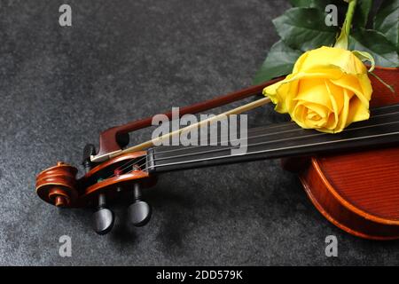 Violin and yellow rose on black background Stock Photo