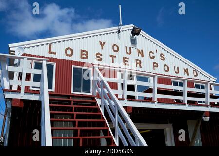 The iconic sign on the metal shed restaurant building for Young's Lobster Pound in Belfast, Maine. Stock Photo