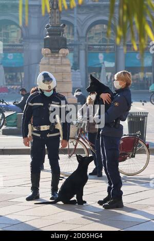Milan local police dog unit in piazza del Duomo, Milan, Italy Stock Photo