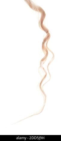 Blond hair isolated on white background Stock Photo
