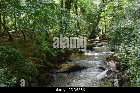 Teffry Viaduct, Luxulyan Valley 100920 Stock Photo