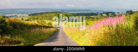 Country road in Northumberland National Park, near Hexham, England, United Kingdom, Europe Stock Photo