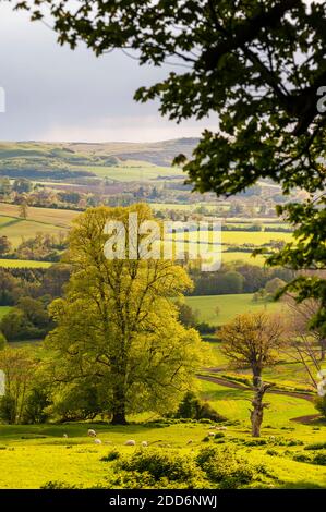 Winchcombe and the Sudely Valley, The Cotswolds, Gloucestershire, England, United Kingdom, Europe Stock Photo