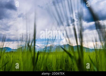 Kamnik Alps, seen from near Kranj, Slovenia, Europe Stock Photo