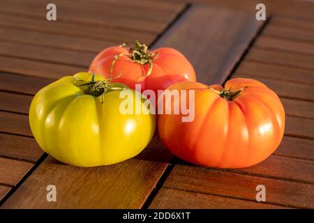 Close up on three green and ripe red village tomatoes lying on brown wooden surface. Natural food background with copy space. Sun light reflecting Stock Photo