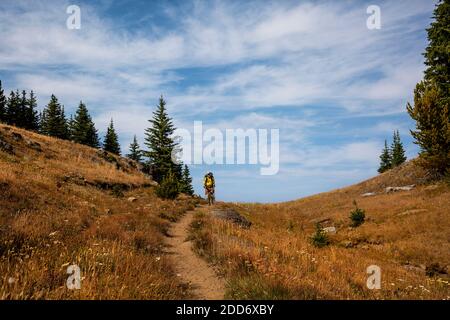 WA184854-00...WASHINGTON  - Hiker on the Boundary Trail at Sunny Pass in the Pasayten Wilderness area in the Okanogan  - Wenatchee National Forest. Stock Photo