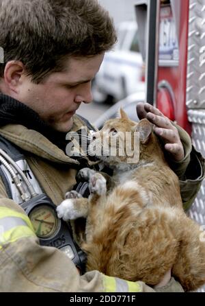 A firefighter carries a cat in a rescue cage close to the scene of a ...