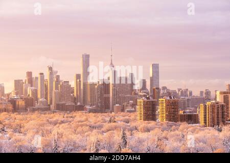 Toronto winter skyline lit by rosy light from rising sun with a beautiful pink hue to downtown and midtown landmark skyscraper buildings, snow and fro Stock Photo