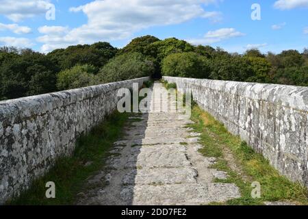 Teffry Viaduct, Luxulyan Valley 100920 Stock Photo