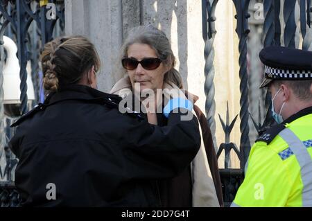 London, UK. 24th Nov, 2020. 72 year old anti-vaccine protester arrested outside the Houses of Parliament. The incident was witnessed by Charles Walker Conservative MP for Broxbourne who shouted out to the police that it was a disgrace and an outrage and that he would raise this in parliament. Credit: JOHNNY ARMSTEAD/Alamy Live News Stock Photo