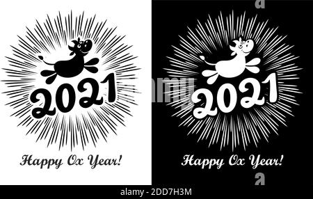 2021 greeting card with funny ox and the inscription Happy Ox Year! against the background of festive fireworks. Vector on transparent and black backg