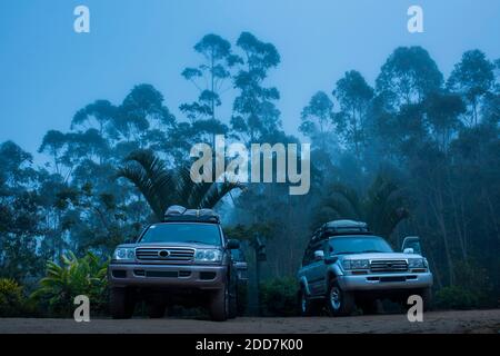 4WD vehicles on a misty morning, with Andasibe National Park behind, Madagascar Stock Photo