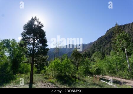 Sunrise in Great Sand Dunes National Park Stock Photo