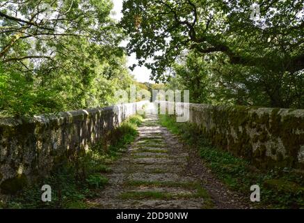 Teffry Viaduct, Luxulyan Valley 100920 Stock Photo