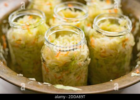 Sauerkraut fermentation in copper bowl, glass pot. Cut white cabbage fermented by lactic acid bacteria Stock Photo