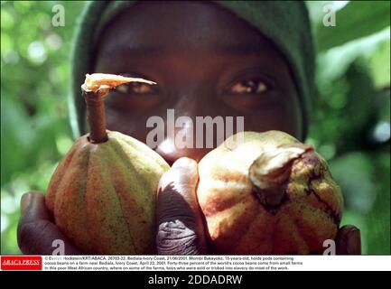 NO FILM, NO VIDEO, NO TV, NO DOCUMENTARY - © Evelyn Hockstein/KRT/ABACA. 26703-22. Bediala-Ivory Coast, 21/06/2001. Mombi Bakayoko, 15-years-old, holds pods containing cocoa beans on a farm near Bediala, Ivory Coast, April 22, 2001. Forty-three percent of the world's cocoa beans come from small fa Stock Photo