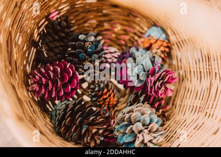 Colorful pine cones in wicker basket at park Stock Photo