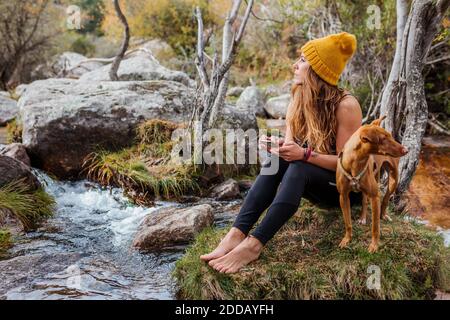 Woman using mobile phone while sitting by dog on rock in forest at La Pedriza, Madrid, Spain Stock Photo