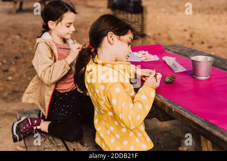 Siblings coloring pine cones at picnic table in park Stock Photo