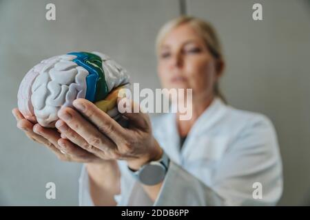 Scientist holding artificial human brain while standing at clinic Stock Photo