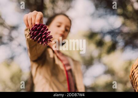 Girl holding pine cone at park Stock Photo